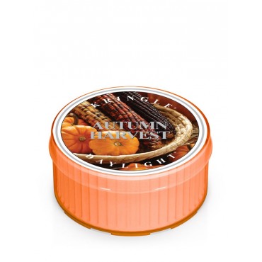 Daylight Autumn Harvest Kringle Candle