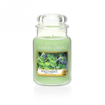 Duża świeca Wild Mint Yankee Candle