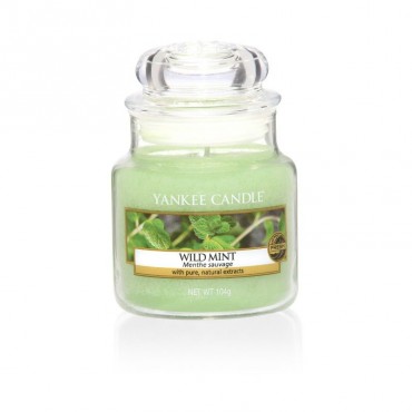 Mała świeca Wild Mint Yankee Candle