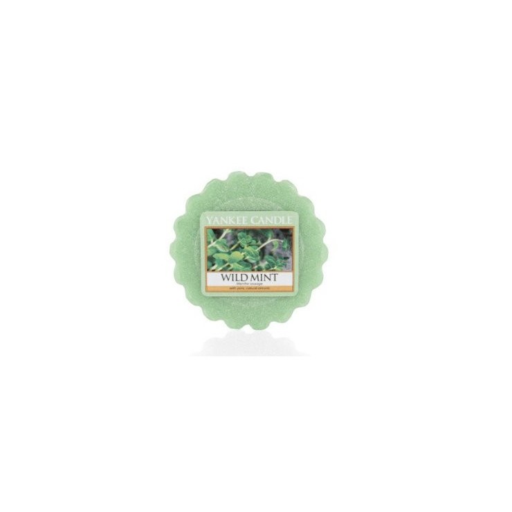 Wosk Wild Mint Yankee Candle Wosk Wild Mint Yankee Candle