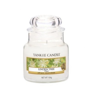 Mała świeca Linden Tree Yankee Candle