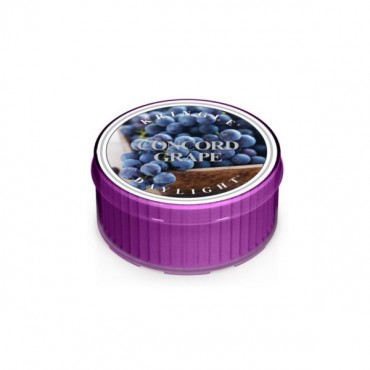 Daylight świeczka Concord Grape Kringle Candle