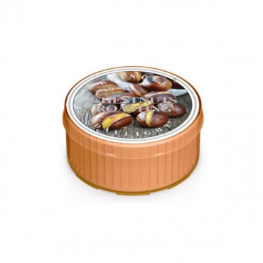 Daylight świeczka Chestnuts Roasting Kringle Candle