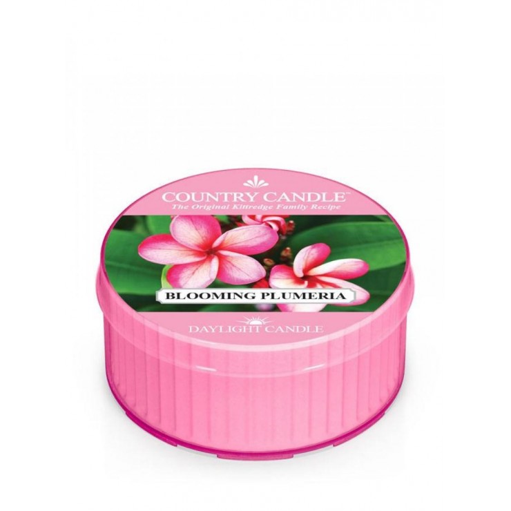 Daylight świeczka Blooming Plumeria Country Candle Daylight świeczka Blooming Plumeria Country Candle