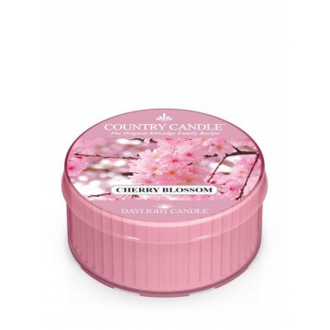 Daylight świeczka Cherry Blossom Country Candle