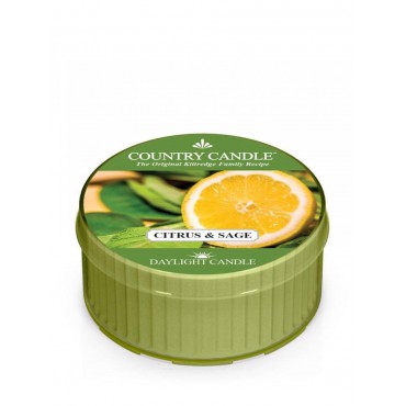Daylight świeczka Citrus and Sage Country Candle