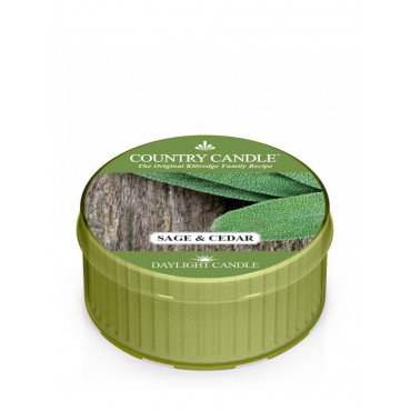 Daylight świeczka Sage and Cedar Country Candle