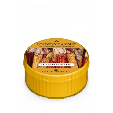 Daylight świeczka Autumn harvest Country Candle