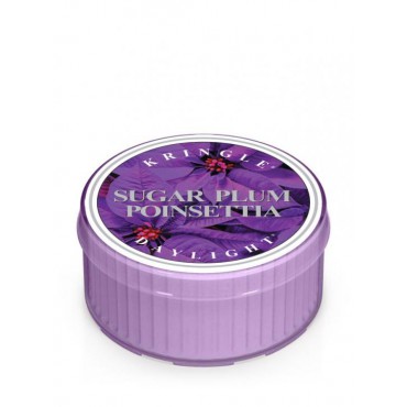 Daylight świeczka Sugar Plum Poinsettia Kringle Candle