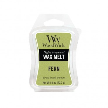 Wosk Fern WoodWick