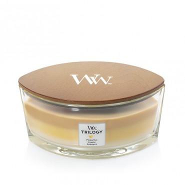 Świeca Hearthwick Trilogy Fruits of Summer WoodWick