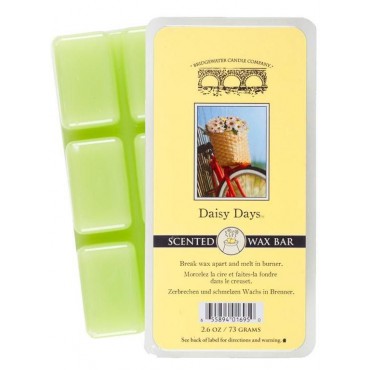 Wosk zapachowy Daisy Days Bridgewater Candle