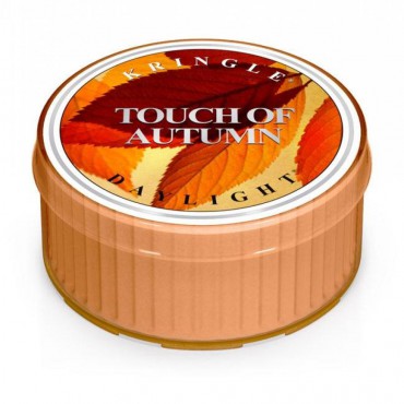 Daylight świeczka Touch of Autumn Kringle Candle